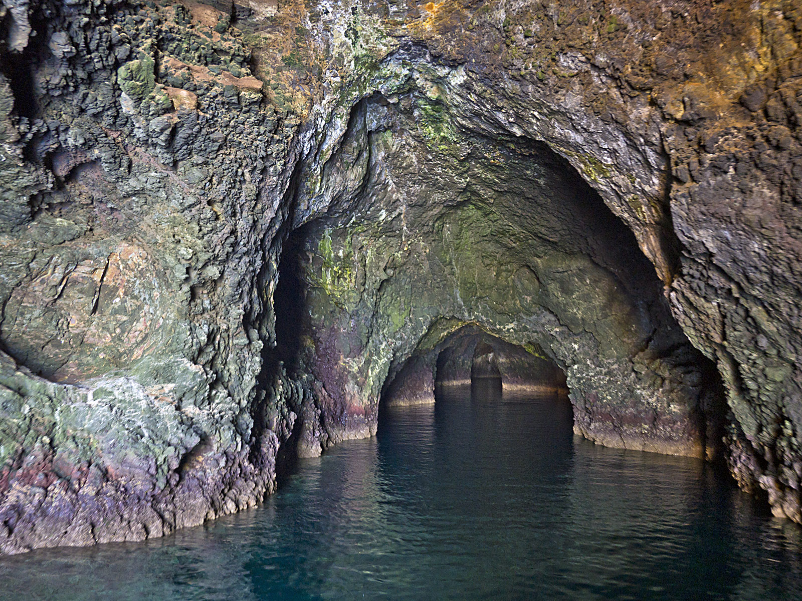 Sea cave entrance at Painted Cave SMCA